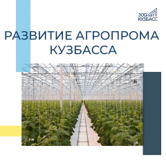 Развитие агропрома Кузбасса