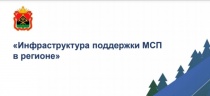 Инфраструктура поддержки МСП 