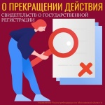 Приостановление действия деклараций