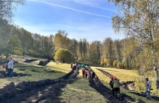 В Кузбассе высадят 2,5 млн деревьев в рамках Всероссийской акции «Сохраним лес»