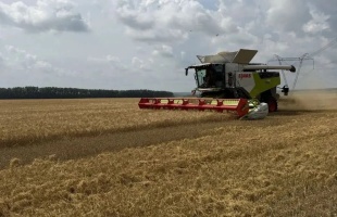 Аграрии Кузбасса убрали уже более половины урожая