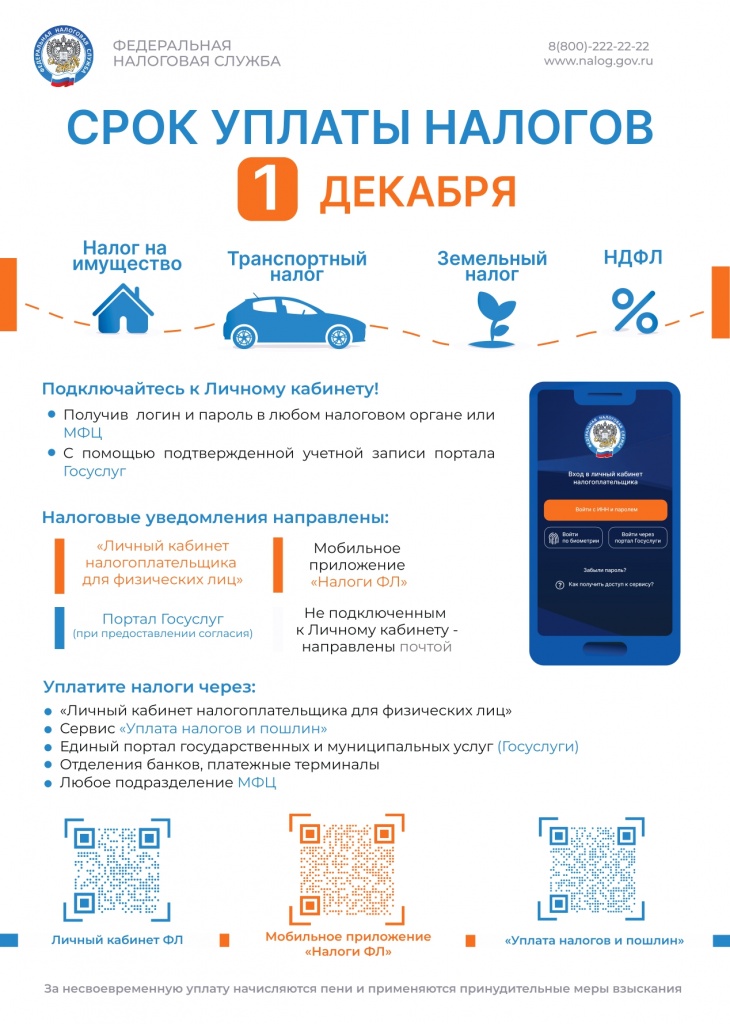 A4 - Листовка ФНС_page-0001.jpg